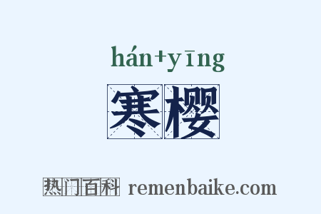 寒樱是什么意思的图片